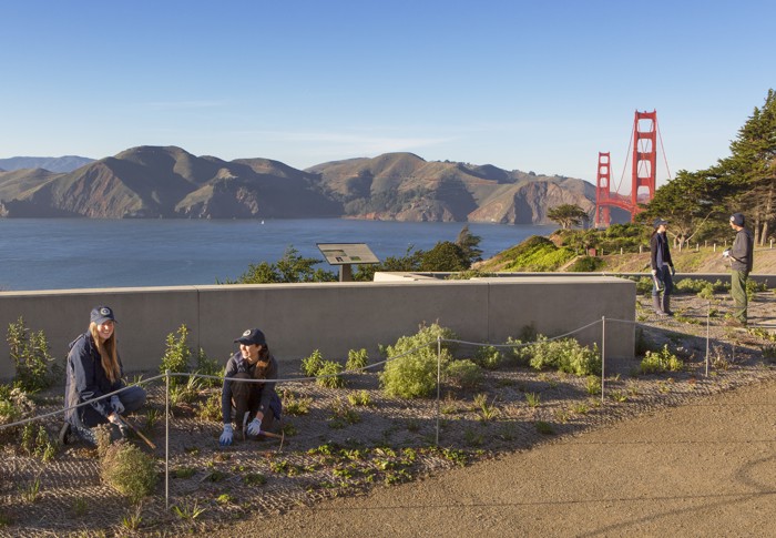 Pacific Overlook by Charity Vargas