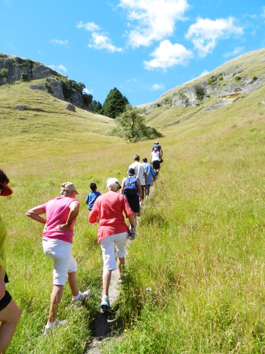 Te Mata Park, Hawkes Bay, New Zealand