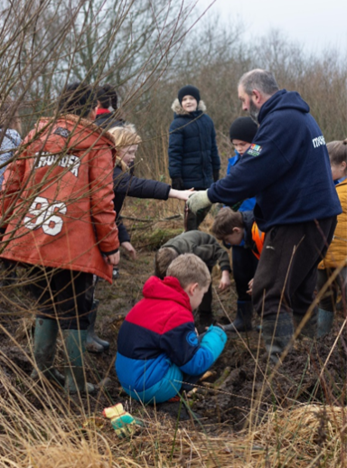 Helping school children with hedgelaying