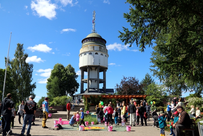 Mikkelin Naisvuoren puisto